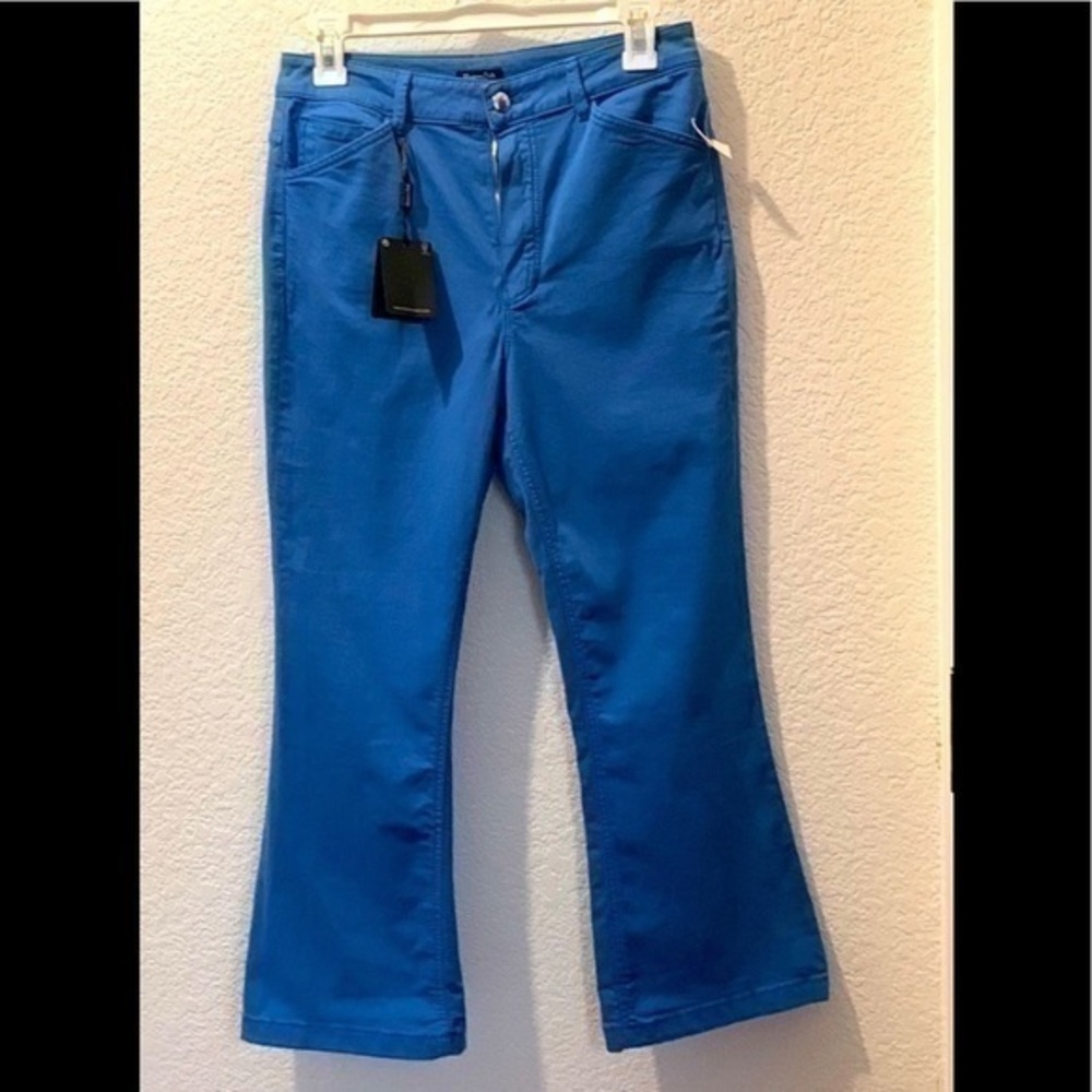 Massimo Dutton size 6 pants